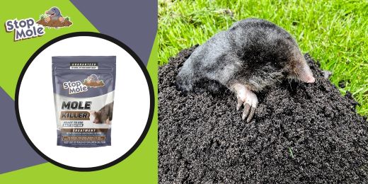 Открийте отзиви за лечението Stop Mole за великолепна градина