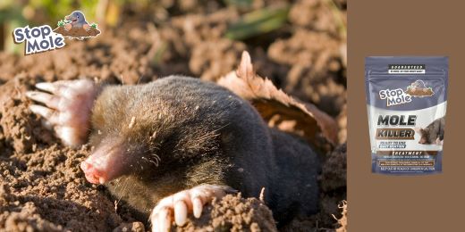 Лесно ли се прилага Stop Mole от начинаещи градинари?